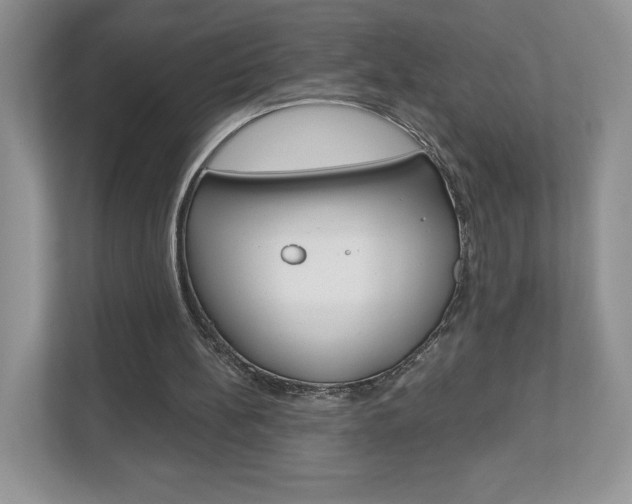 X0000112940148200908241014