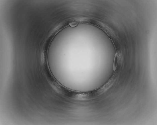 X0000112940158200908241014