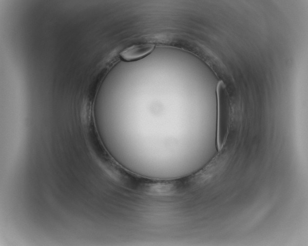 X0000112940168200908241014