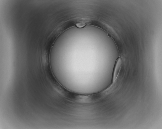 X0000112940170200908241014