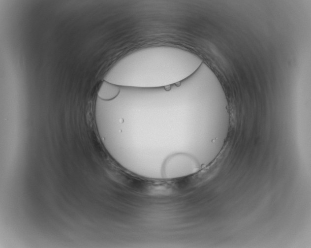 X0000112940175200908241014