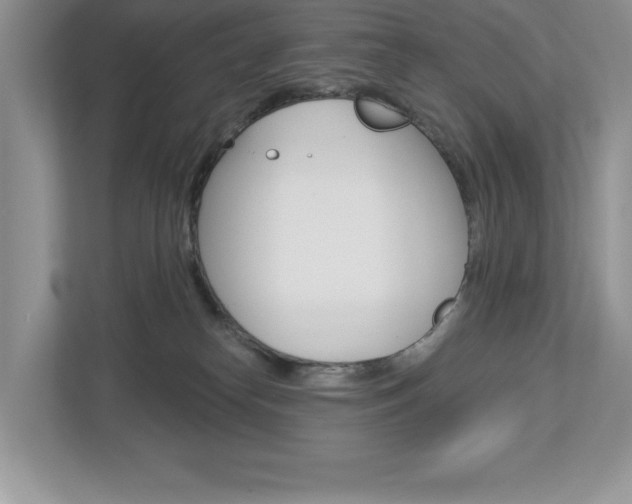 X0000112940182200908241014