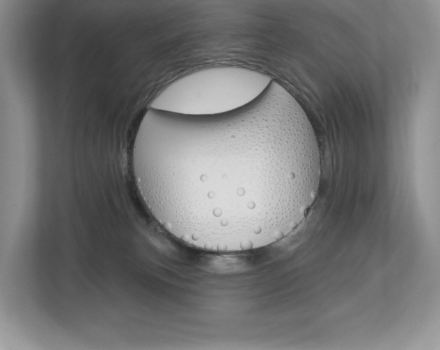X0000112940183200908241014