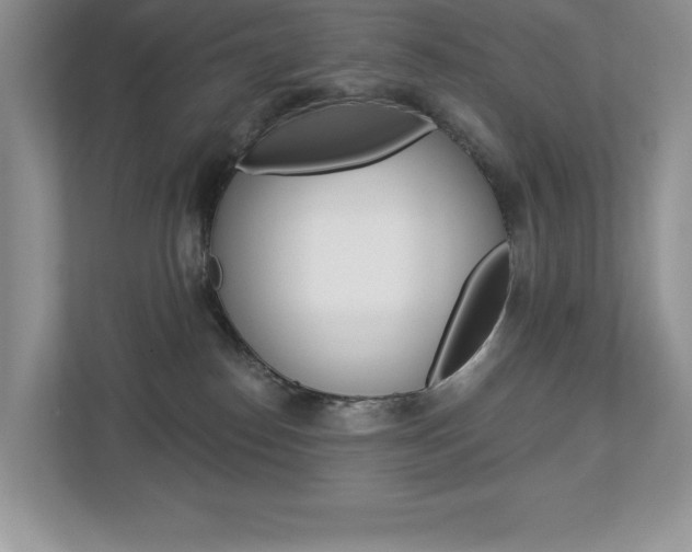 X0000112940186200908241014