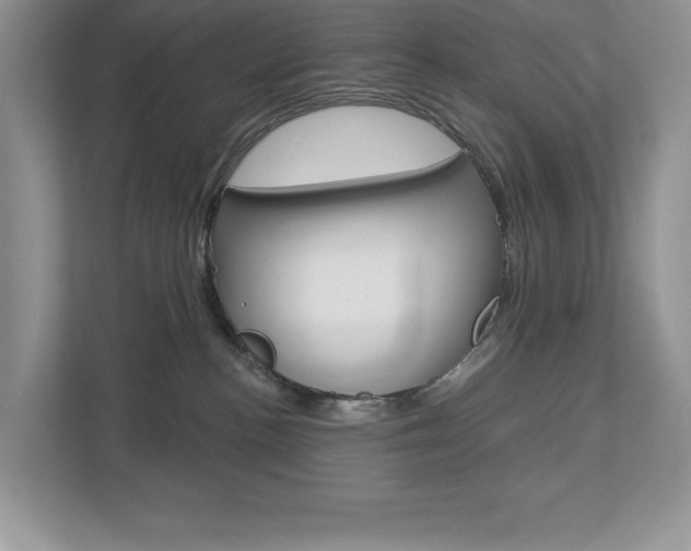 X0000112940188200908241014