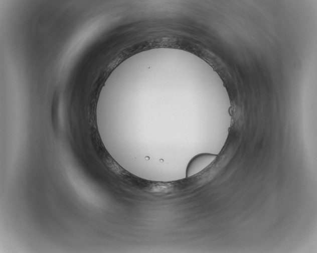 X0000112940189200908241014