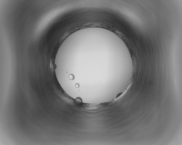 X0000112940191200908241014