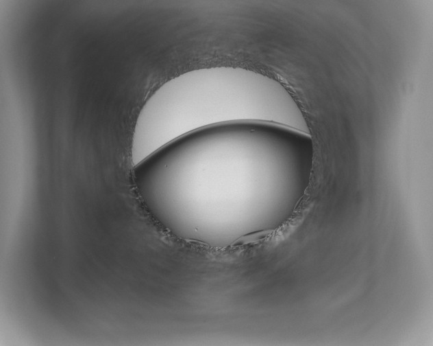 X0000112940192200908241014