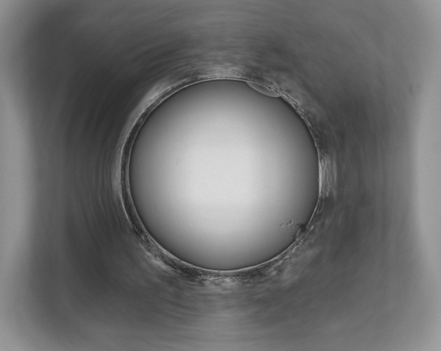 X0000112940195200908241013