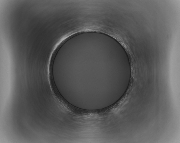 X0000112940196200908241013