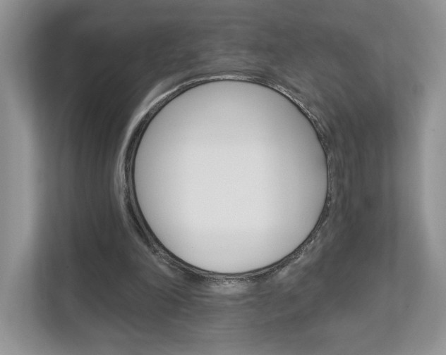 X0000112940198200908241013