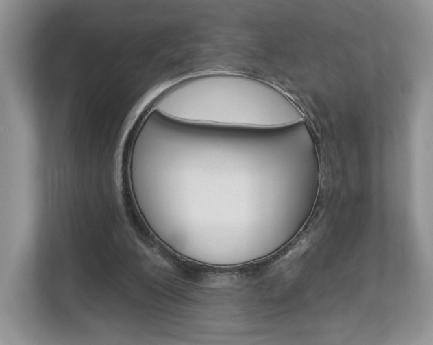 X0000112940200200908241013