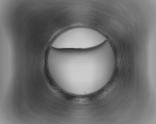X0000112940208200908241013
