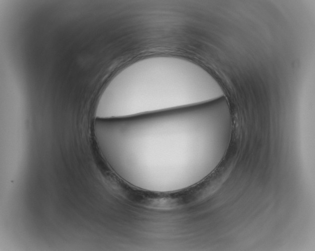 X0000112940212200908241013