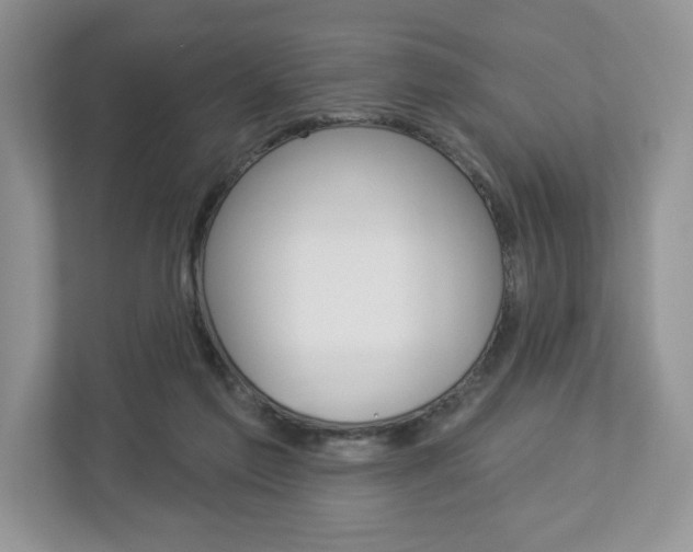 X0000112940213200908241013