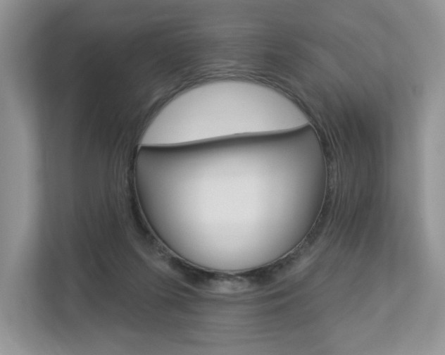X0000112940215200908241013