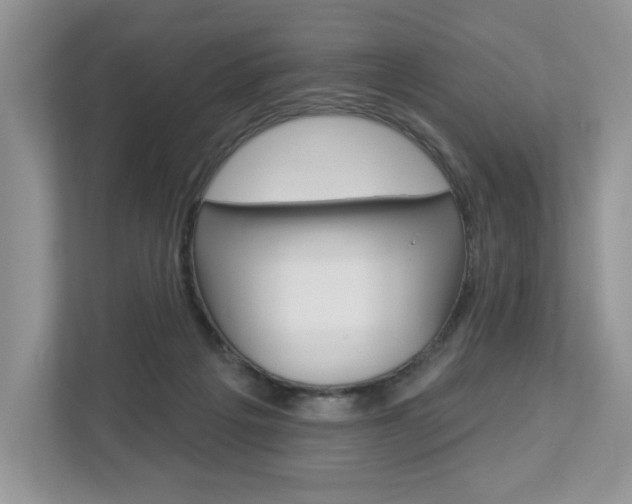 X0000112940217200908241013