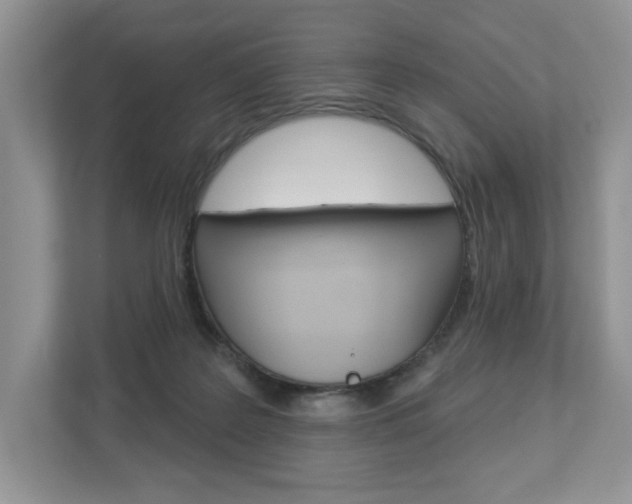 X0000112940219200908241013
