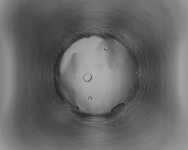 X0000112940223200908241013