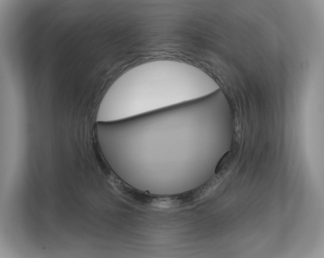 X0000112940231200908241013