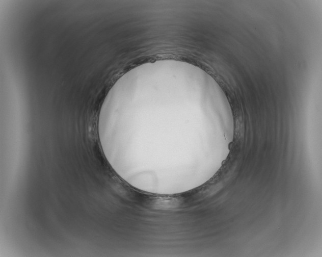 X0000112940234200908241013