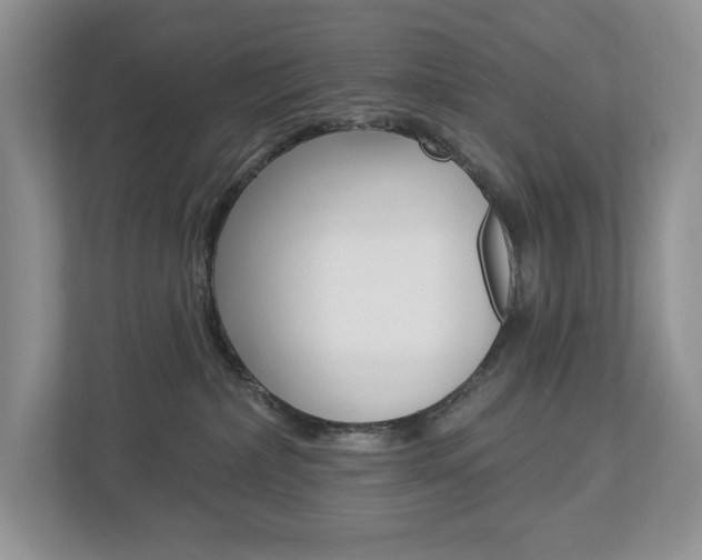 X0000112940236200908241013