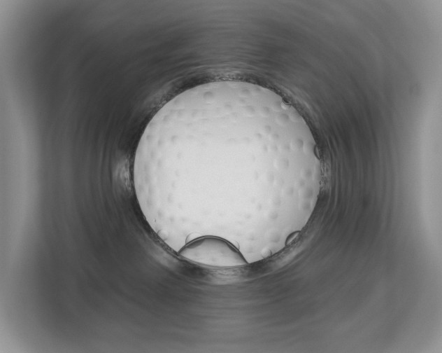 X0000112940238200908241013