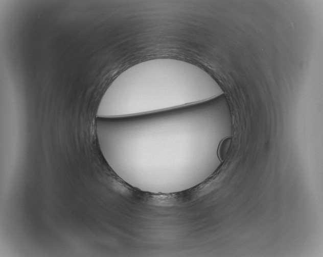 X0000112940240200908241013