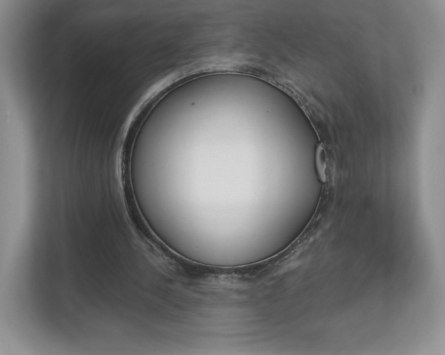X0000112940244200908241012