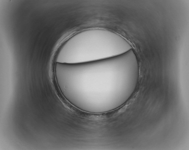 X0000112940245200908241012