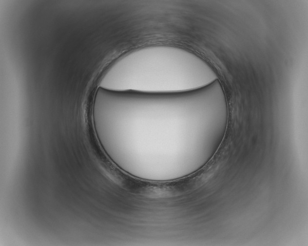 X0000112940250200908241012