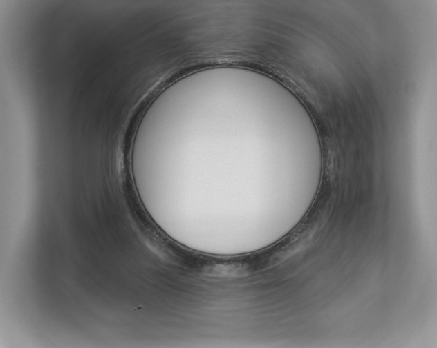 X0000112940251200908241012