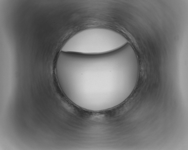 X0000112940257200908241012