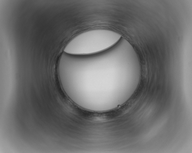 X0000112940263200908241013
