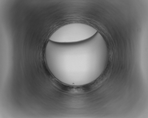 X0000112940270200908241013