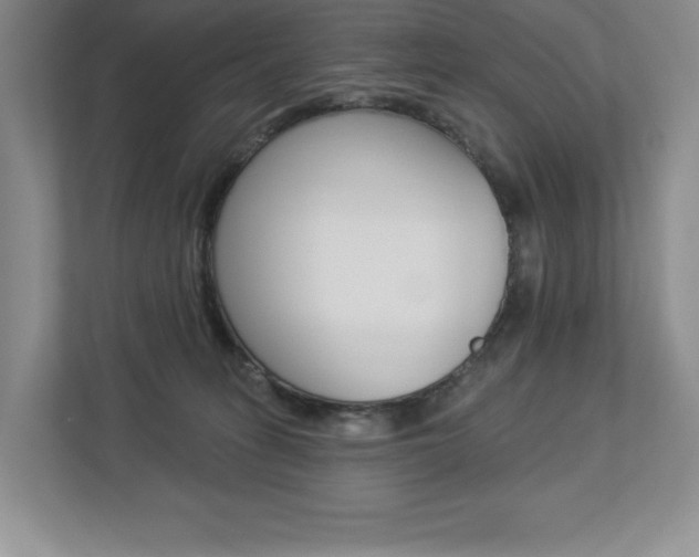 X0000112940275200908241013