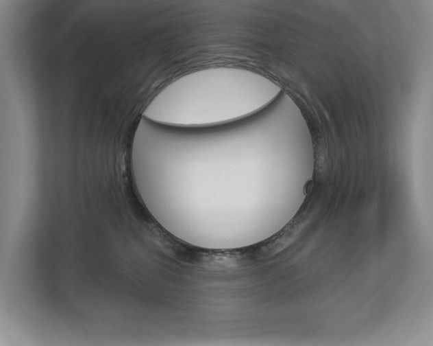 X0000112940282200908241013