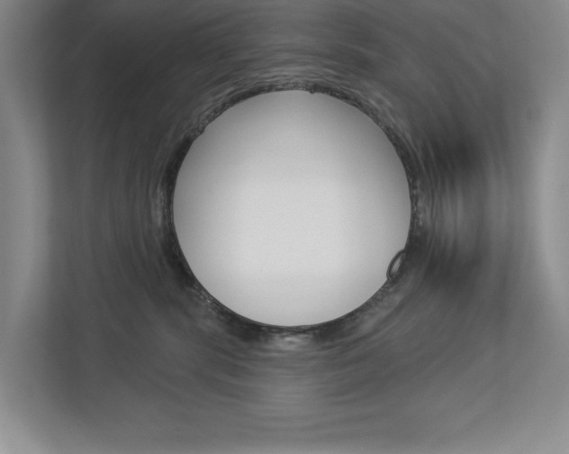 X0000112940283200908241013