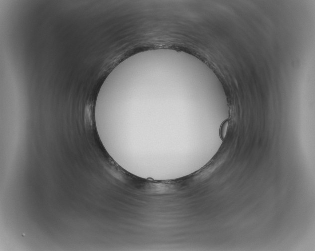X0000112940286200908241013