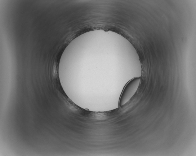 X0000112940287200908241013
