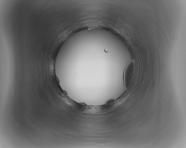 X0000112940288200908241013
