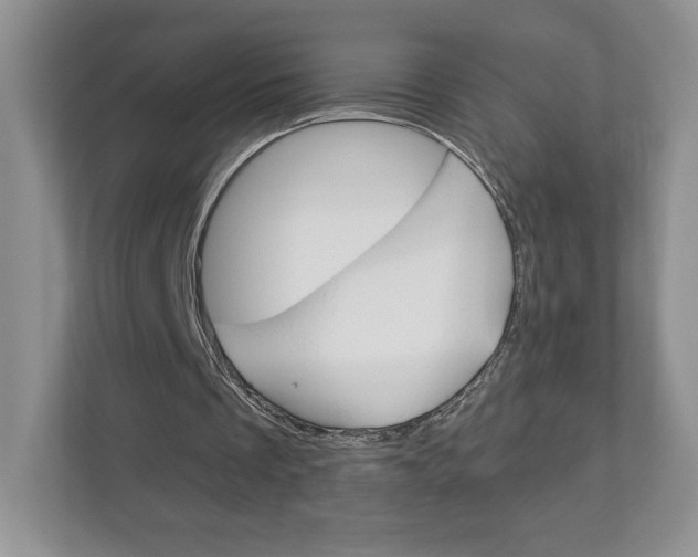 X0000112940289200908241012