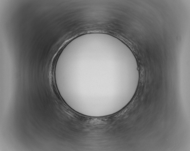 X0000112940290200908241012