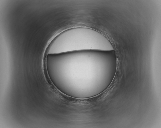 X0000112940292200908241012