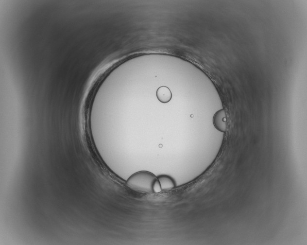 X0000112940294200908241012