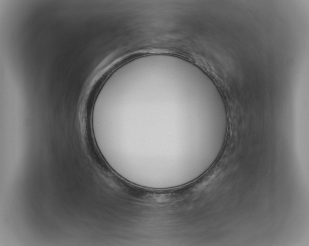 X0000112940295200908241012
