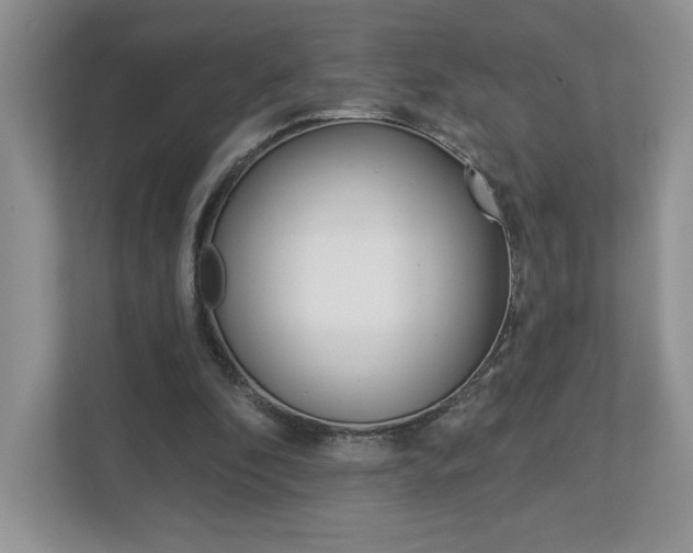 X0000112940296200908241012