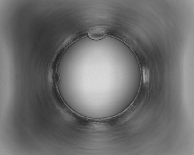 X0000112940300200908241012