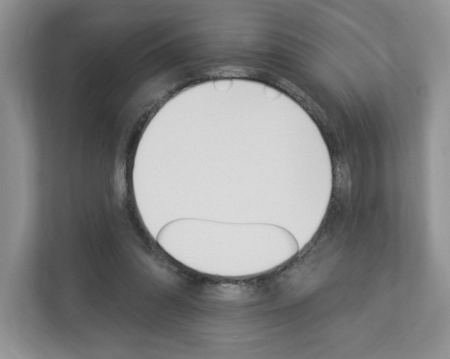 X0000112940302200908241012