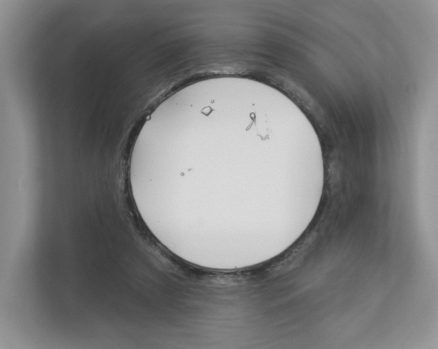 X0000112940305200908241012